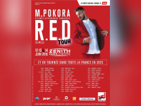 M. Pokora en concerts au Zénith de Paris en juin 2015