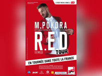 M. Pokora en concert à Paris Bercy en décembre 2015 