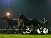 L’Hippodrome de Paris-Vincennes en mode nocturne 