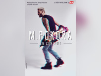 M. Pokora en concert à l'Arena Bercy de Paris en décembre 2017