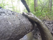 Buthiers Running Finisher 2018