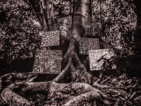 Kamasi Washington en concert au Bataclan de Paris en mai 2018