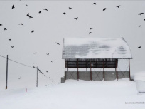 "En dessous de zéro" : expo photo de Christophe Jacrot à la Galerie de l'Europe