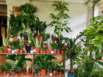 Plantes Pour Tous : grande vente de plantes à La Villette les 13 et 14 avril 2019
