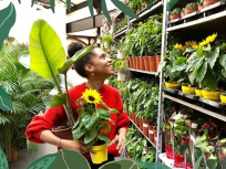 Plantes Pour Tous : grande vente de plantes à la Cité Fertile à Paris les 17, 18 et 19 mai 2019