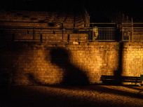 Festival Les Nuits des Arènes 2020 aux arènes de Lutèce à Paris