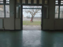 Jungle en concert au Zénith de Paris en janvier 2022