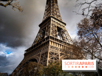 Tempête Diego : Paris placée en vigilance jaune pour vent violent et pluie-inondation ce vendredi