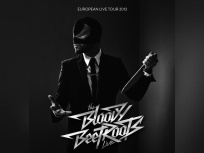 The Bloody Beetroots à l'Olympia en novembre 2013