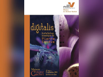 Digitalis de Pierre Estève à la Maison du docteur Gachet 