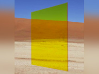 Viviane Sassen à l'Institut Néerlandais