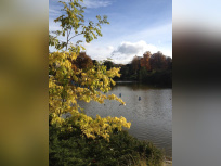 La COP21 s'invite au parc Montsouris 