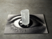 Entre sculpture et photographie au musée Rodin