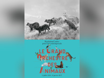 Le Grand Orchestre des animaux, l'expo à la Fondation Cartier