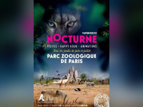 Nocturnes cet été au Parc Zoologique de Paris !