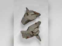 Jean-Luc Moulène, l'exposition au Centre Pompidou