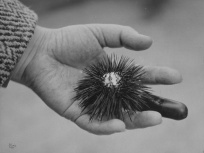 Eli Lotar, l'exposition photo au Jeu de Paume