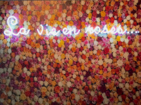 La Vie en Roses, l'exposition gratuite au 9Hotel République
