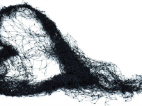 Inextricabilia. Enchevêtrements magiques, l'exposition à la Maison Rouge