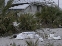 Pauline Bastard, l'exposition à la galerie Eva Hober