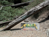 Alexandre Estrela, l'exposition à la Fondation Calouste Gulbenkian