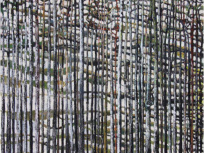 David Solis, l'expo gratuite à la Maison de l'Amérique latine