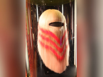 Le cheveu, de mèche avec la science au Palais de la Découverte