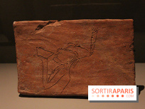 Mayas, un temps sans fin - dessin