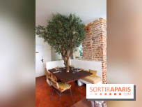 Cicciolina, l'Italie à Paris