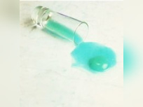 Art, Culture, Expositions, Cesar, Paris, Fondation Cartier, Transversal, Soirées Nomades