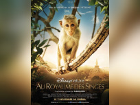 Au Royaume des Singes le 11 novembre au cinéma 