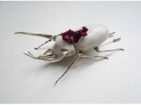 MIMÈSIS par Jordane Somville