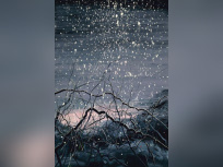 Zeng Fanzhi, Untitled, 2012