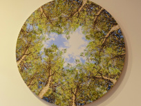 On a testé : le Bol d'air Jacquier du laboratoire Holiste