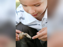 Découverts de la biodiversité au Parc Georges Brassens à Massy
