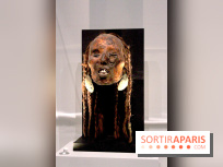 Carambolages au Grand Palais