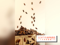 Céramix, l'exposition au Musée de la Céramique et à la Maison Rouge