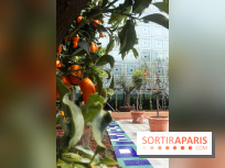 Jardin d'Orient à l'Institut du Monde Arabe