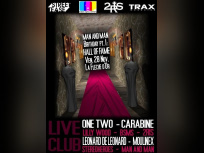 Soirée, Paris, Man & Man, Birthday, One Two, Carabine, Lilly Wood, Bsms, Stereoheroes, Moulinex, Leonard de Leonard