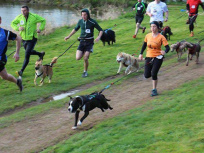 Canicross au Bois de Boulogne le 22 avril 2017