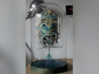 Exposition Take a breath au Passage Guigon