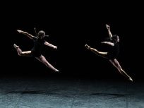 Le palais chaillot célèbre les 70 ans des droits de l'homme