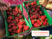 Cueillettes des fraises autour de Paris