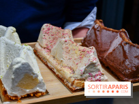 Bûches Glacées Reys Noel 2024