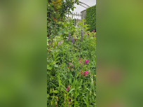 Jardin de Patrick et Roland