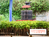 Domaine du bois brillant, la renaissance d'un vignoble historique en île-de-France