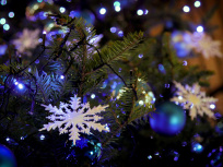 Noël 2025 : un atelier DIY pour créer sa propre fleur de Noël artisanal à Saint-Maure-des-Fossés (94)