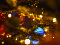 Seine-et-Marne : Un parcours de Noël dans un Jardin à la Française dessiné par Le Nôtre avec vidéo-mapping