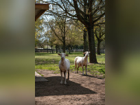Rendez-Vous aux Jardins 2026 au parc des 33 hectares à Neuilly-sur-Marne