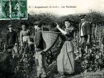 Cette ville aux portes de Paris était autrefois l'un des vignobles les plus prolifiques de la région !